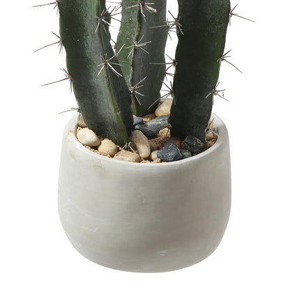 Cactus in un vaso in ceramica 64 cm