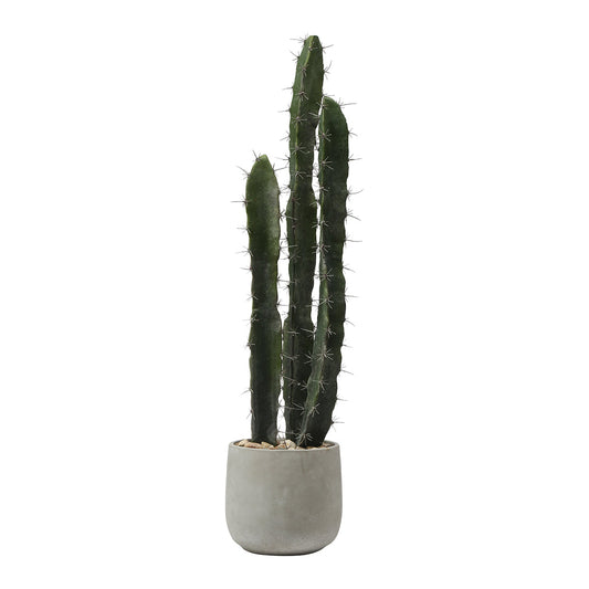 Cactus in un vaso in ceramica da 80 cm