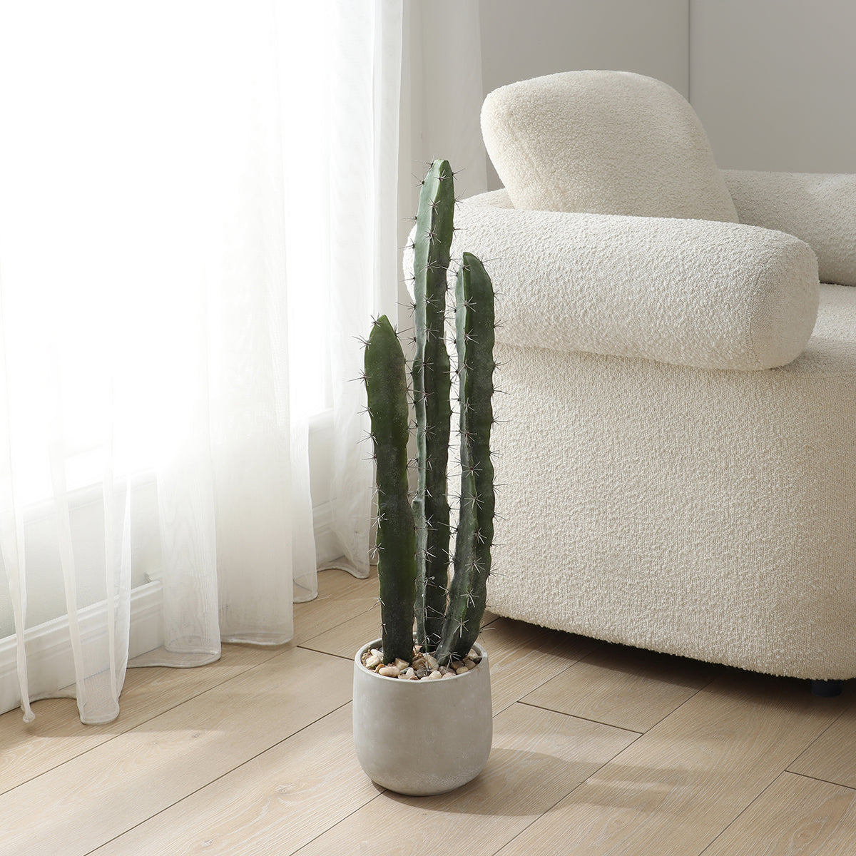 Cactus in un vaso in ceramica da 80 cm