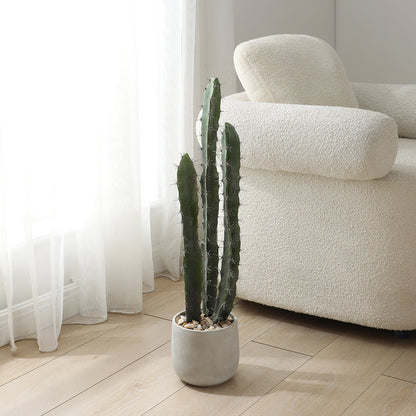 Cactus in un vaso in ceramica da 80 cm
