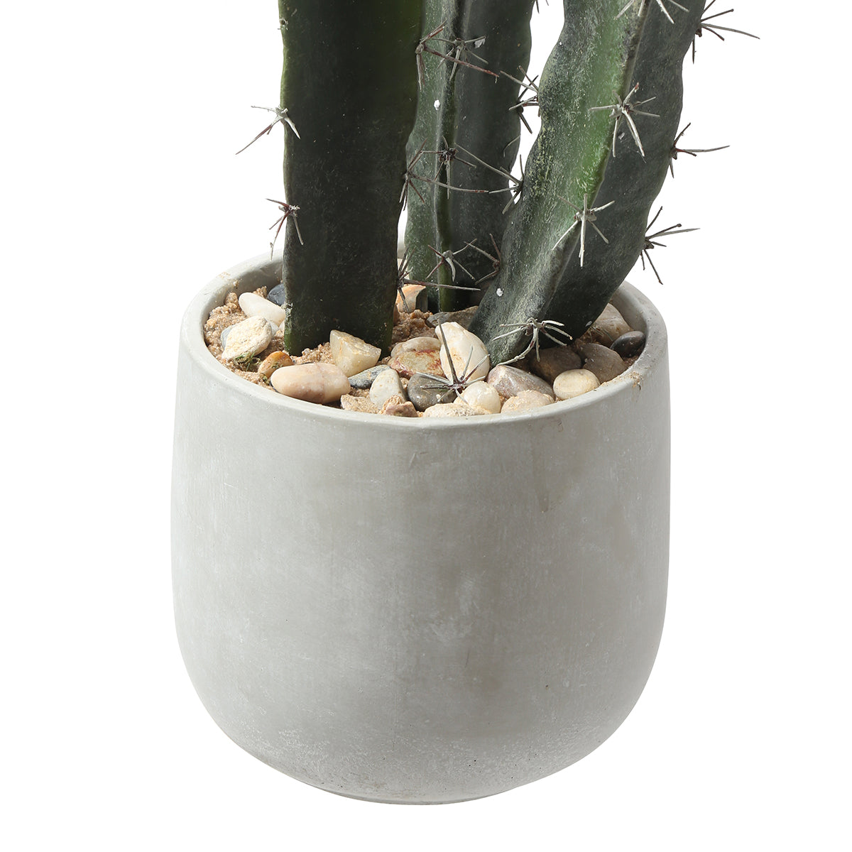 Cactus in un vaso in ceramica da 80 cm