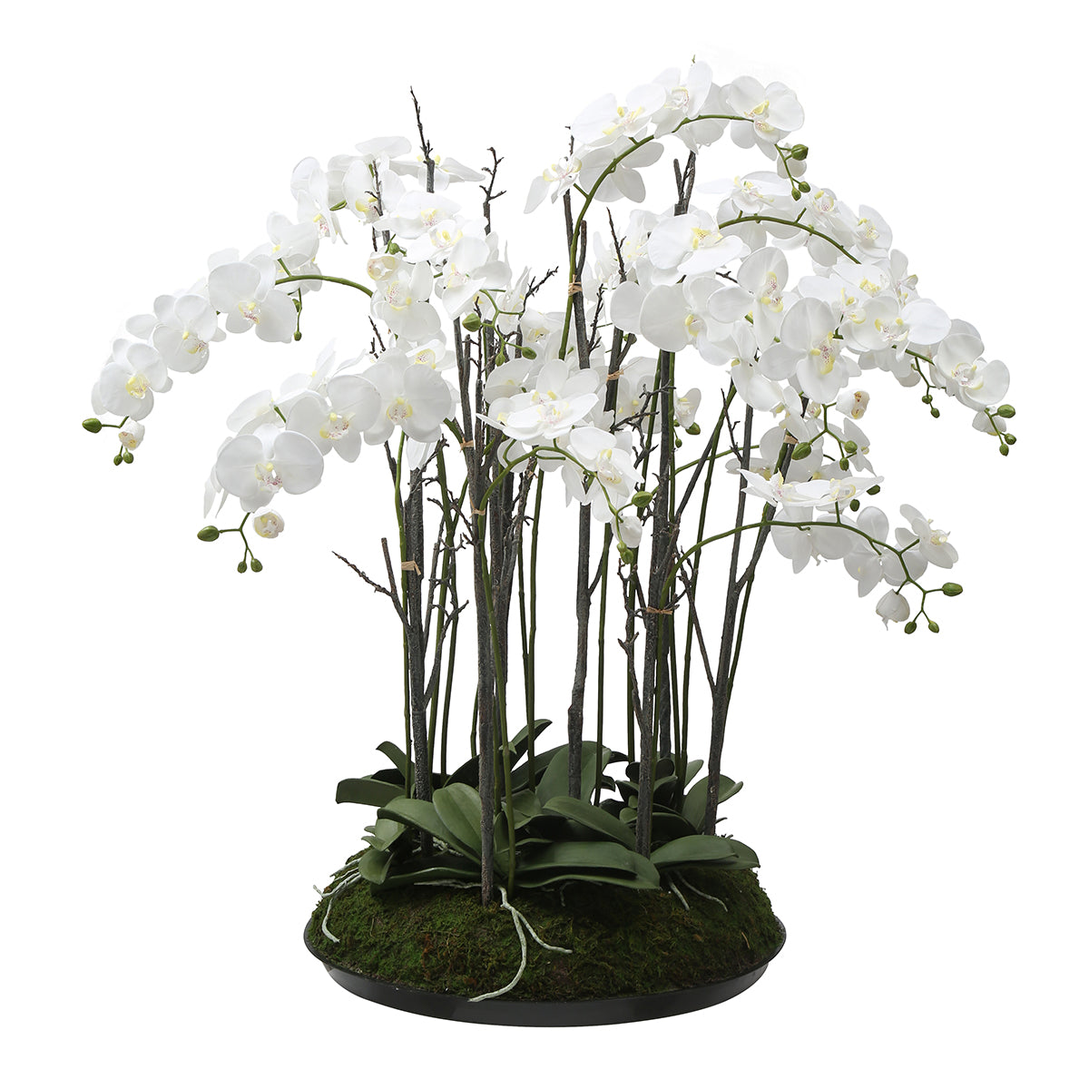 Composizione d'Orchidée Artificielle con mousse 113 cm