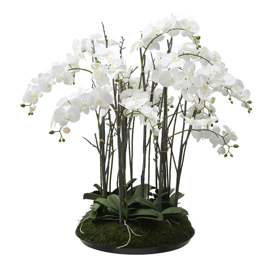 Composizione d'Orchidée Artificielle con mousse 113 cm