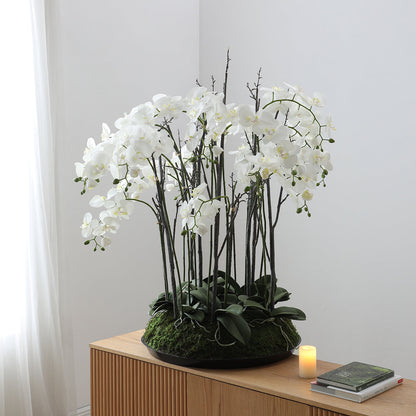 Composizione d'Orchidée Artificielle con mousse 113 cm