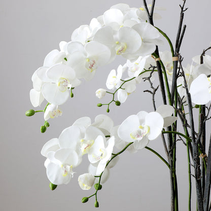 Composizione d'Orchidée Artificielle con mousse 113 cm