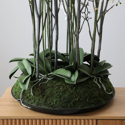 Composizione d'Orchidée Artificielle con mousse 113 cm
