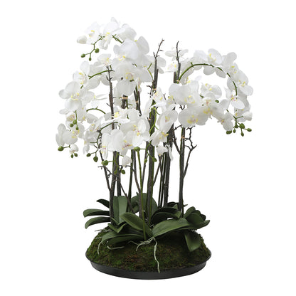 Composizione d'Orchidée Artificielle con mousse 90cm