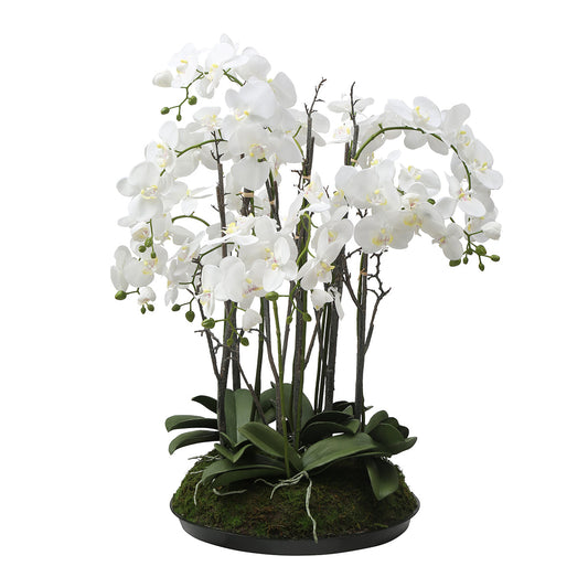 Composizione d'Orchidée Artificielle con mousse 90cm