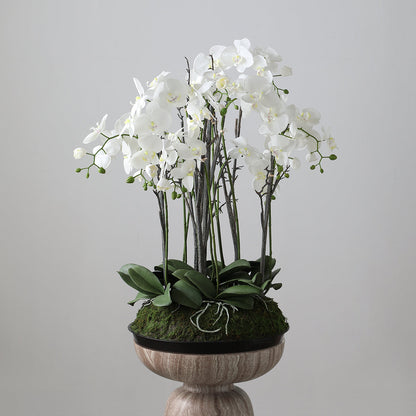 Composizione d'Orchidée Artificielle con mousse 90cm