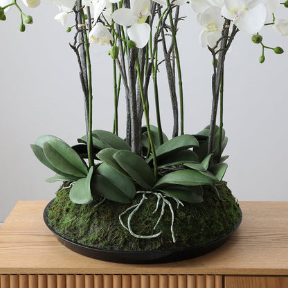 Composizione d'Orchidée Artificielle con mousse 90cm