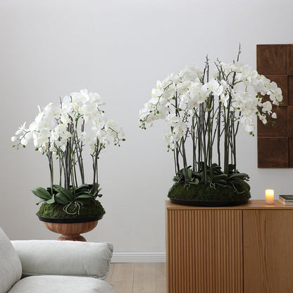 Composizione d'Orchidée Artificielle con mousse 90cm