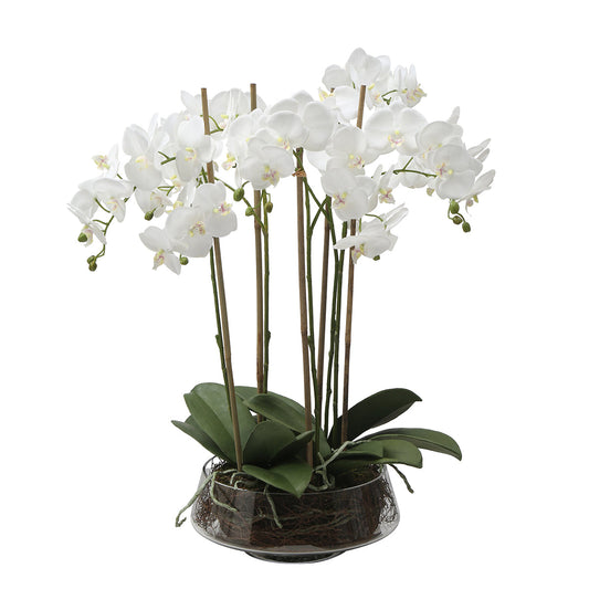 Composizione d'Orchidée Artificielle Lena 10 rami