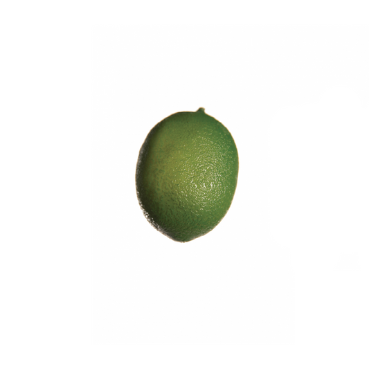 Citron Artificial