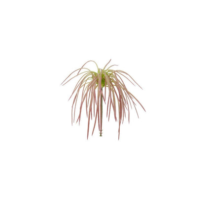 Feuillage d'herbes tombantes