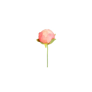 Tige de Bouton de Pivoine à piquer dans de la mousse