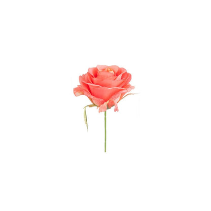 Tige de Rose à piquer dans de la mousse