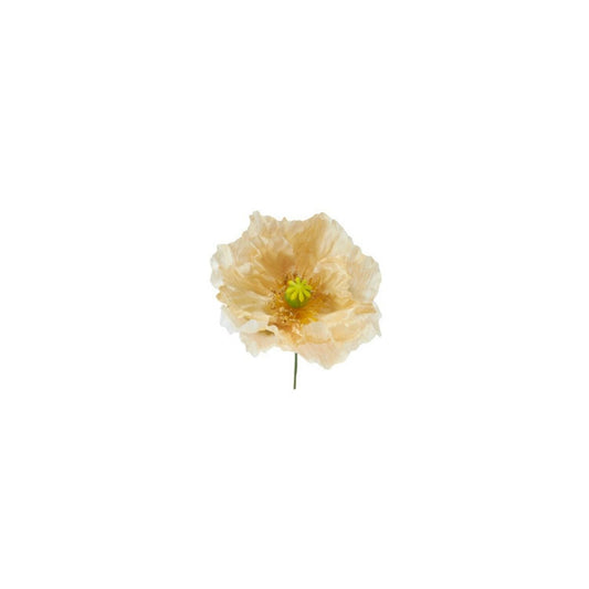 Tige de Coquelicot à piquer dans de la mousse