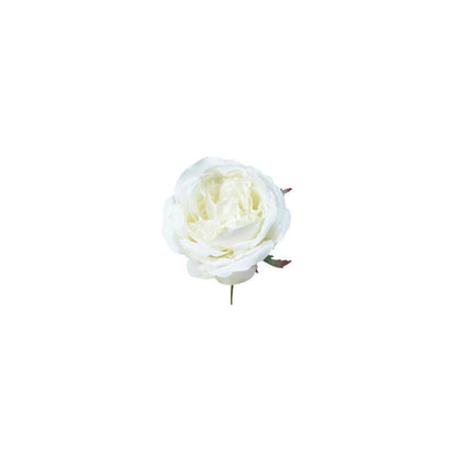 Tige de Rose à piquer dans de la mousse
