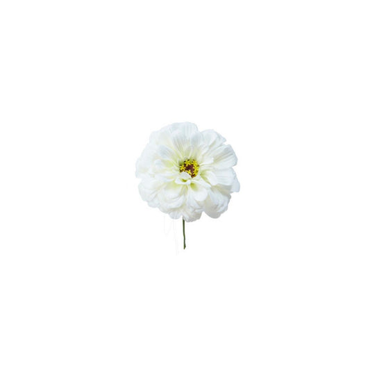 Tige de Zinnia à piquer dans de la mousse