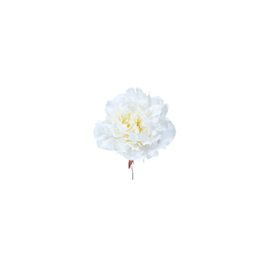 Tige de Pivoine à piquer dans de la mousse