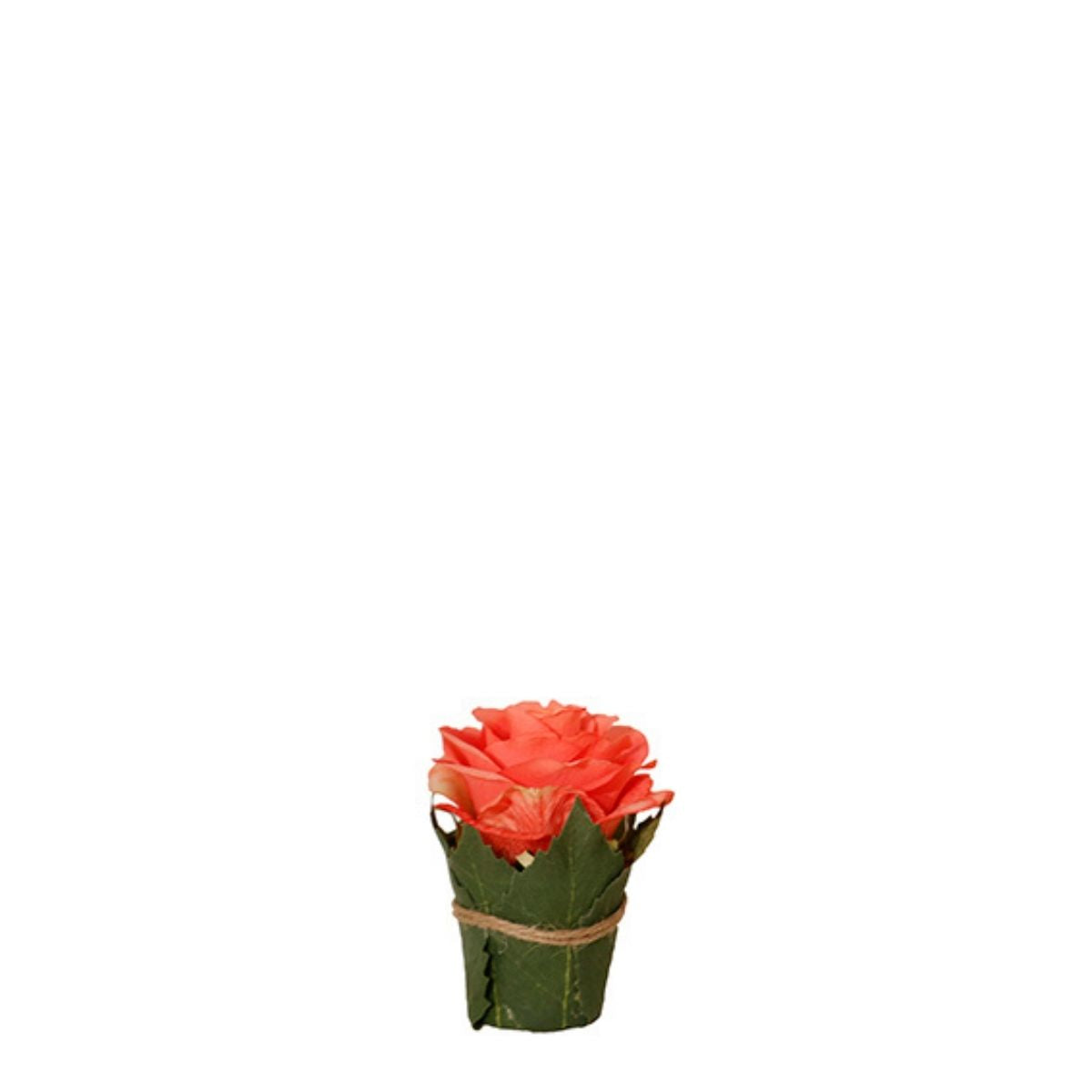 Composizione Rosa entourée de feuilles