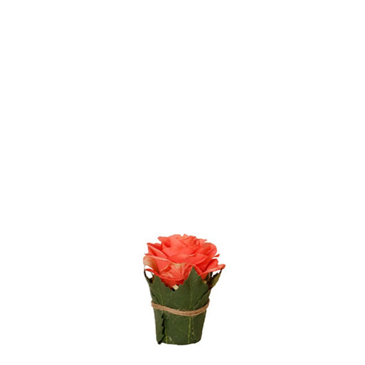 Composizione Rosa entourée de feuilles