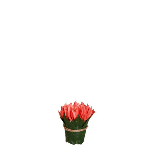 Composizione Chrysanthème entouré de feuilles
