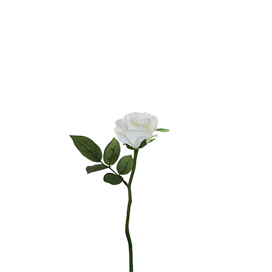 Tige de rose Maria Impermeabile chiusa