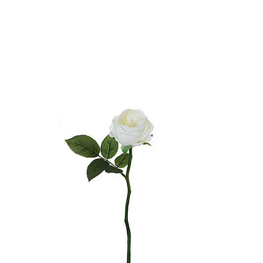 Tige de rose Maria Impermeabile ouverte