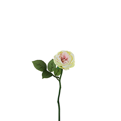Tige de rose Maria Impermeabile ouverte