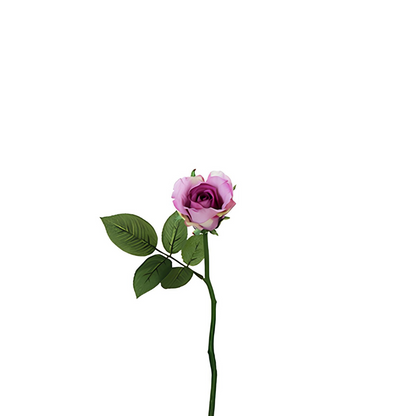Tige de rose Maria Impermeabile chiusa
