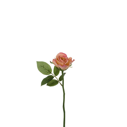 Tige de rose Maria Impermeabile chiusa