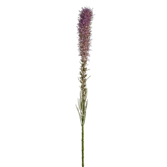 Tige de Liatris pailletée