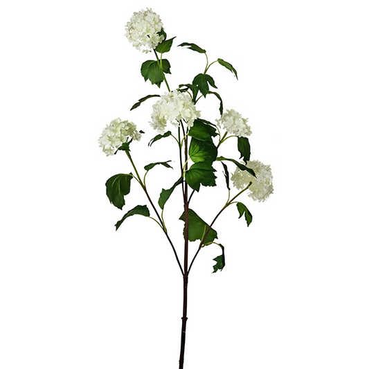 Tige d'Hydrangea Palle di neve 5 testi