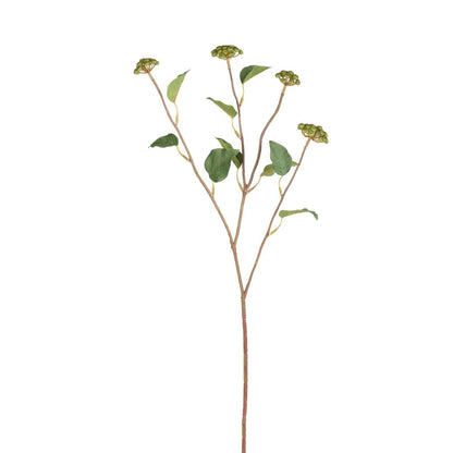 Branche de baies avec feuilles