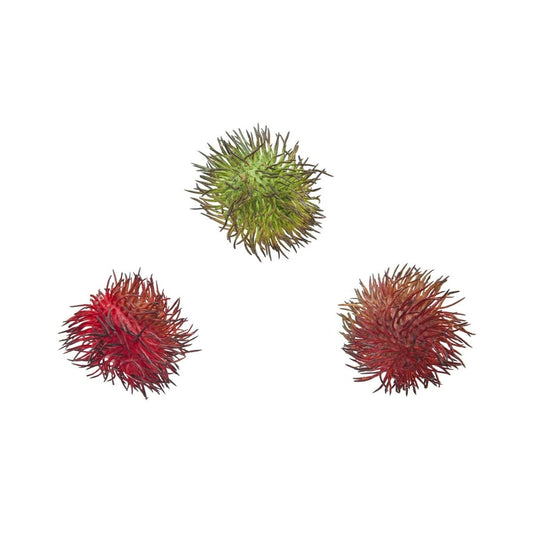 Frutta Ramboutan Artificiale