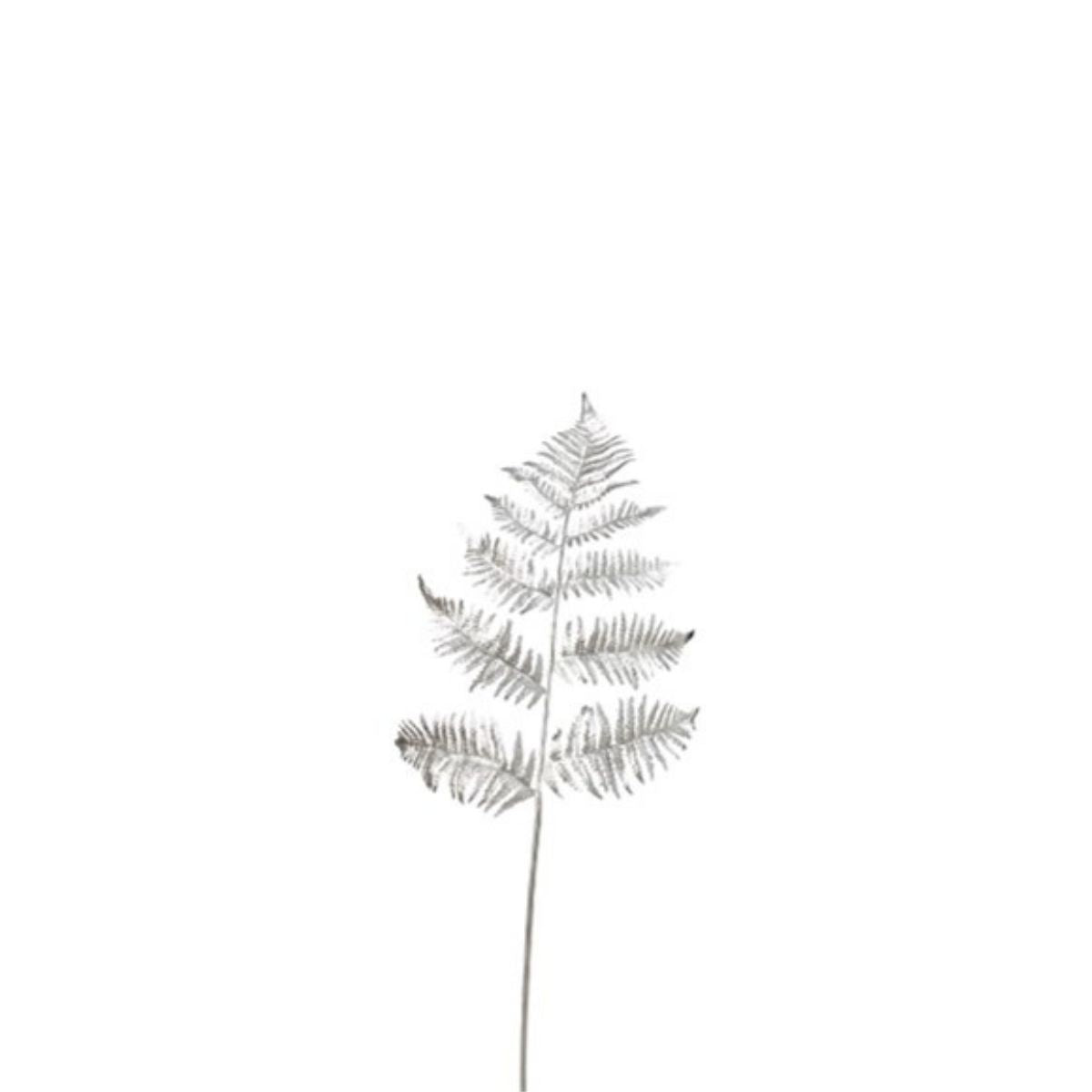 Fougère metallizzato