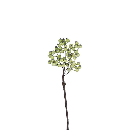Branche de Baies