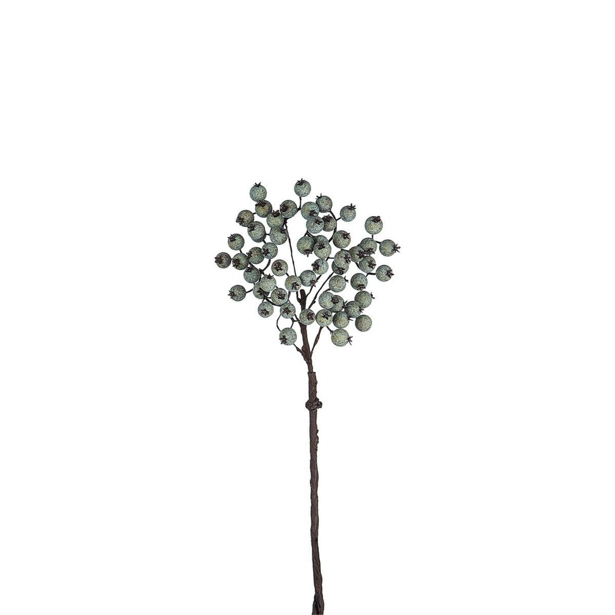 Branche de Baies