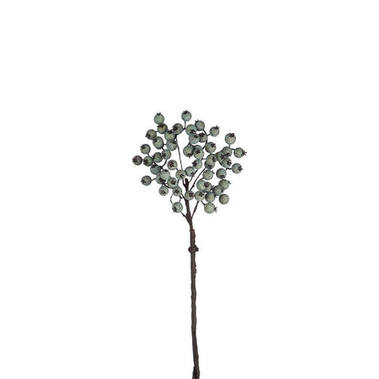 Branche de Baies