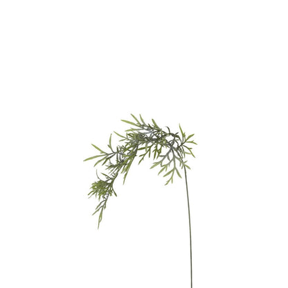 Feuillage Herbe tombante