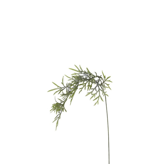 Feuillage Herbe tombante