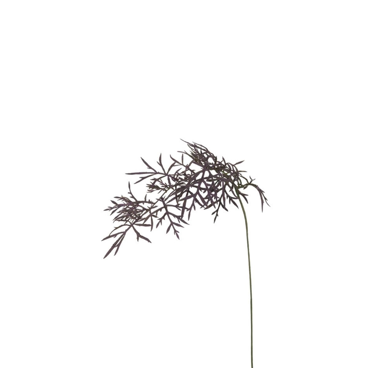 Feuillage Herbe tombante