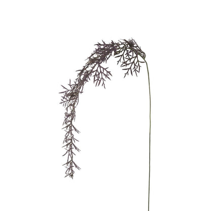 Feuillage Herbe tombante