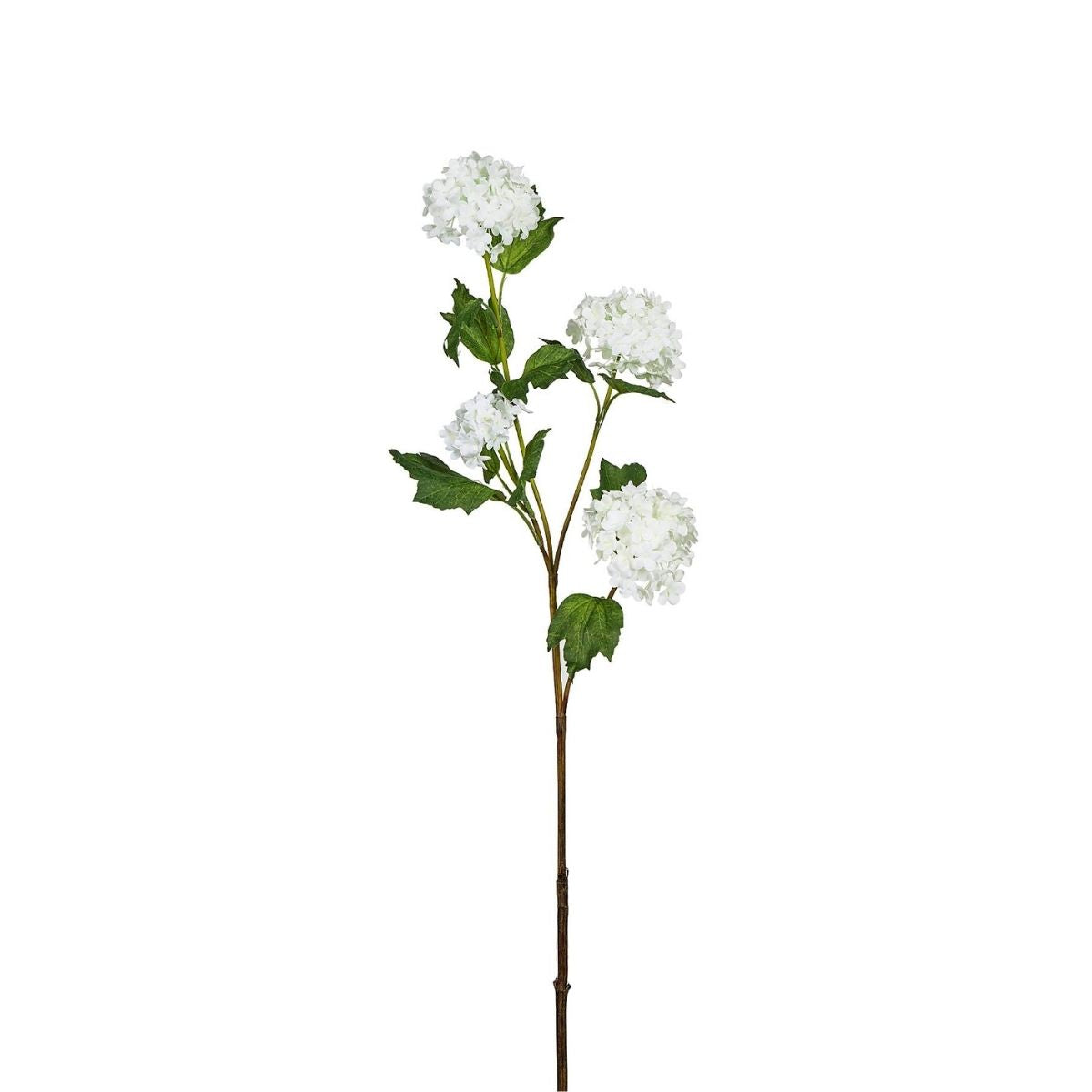 Tige d'Hydrangea Palle di neve 4 testi