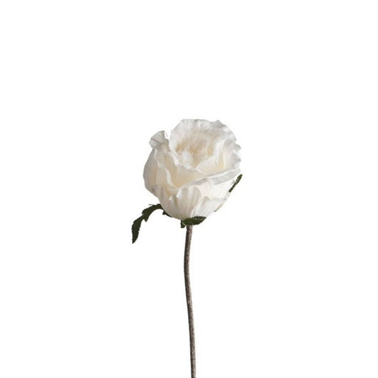 Tige de Rose enneigée fermée