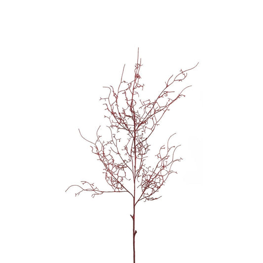 Branche de Bois 