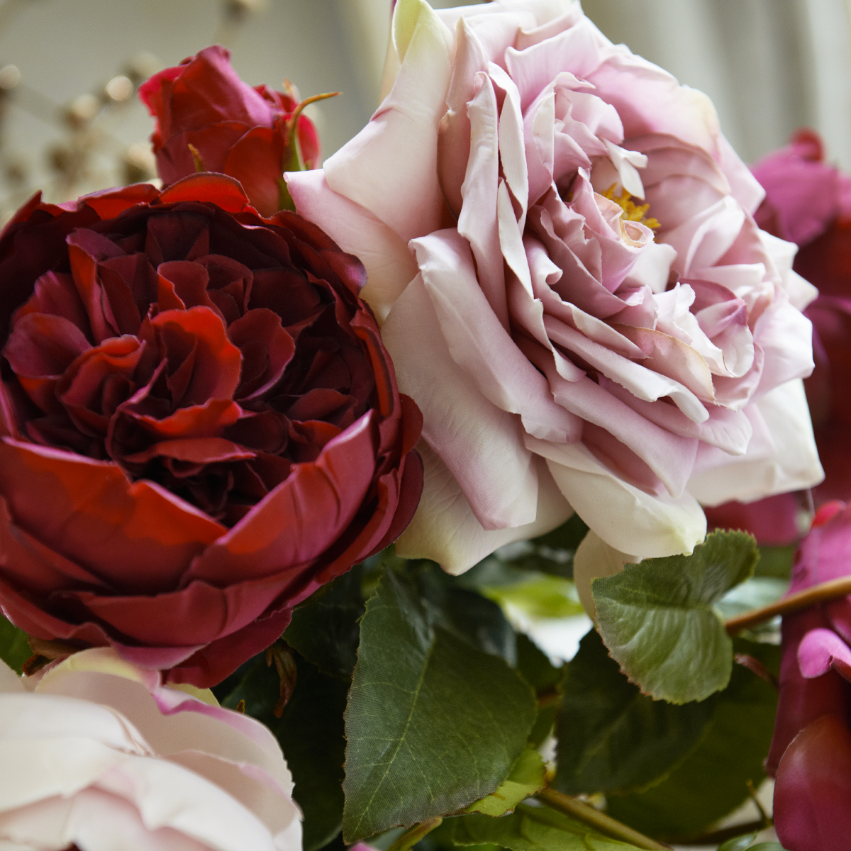 Tige de Rose Rosie