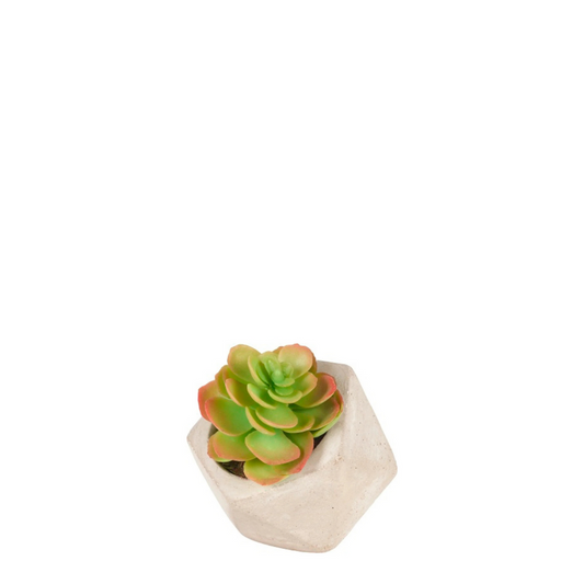 Succulente Artificielle Echeveria in vaso